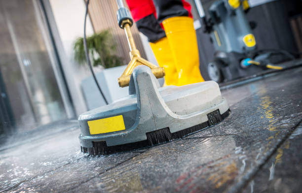 Best House Pressure Washing  in Ciborne, LA
